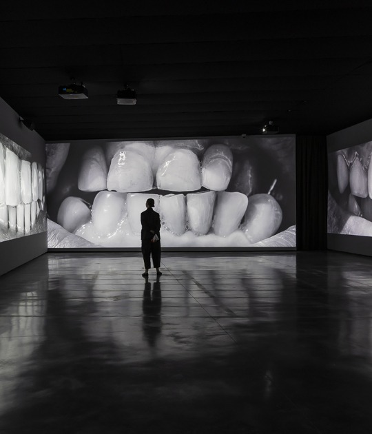 2.068 dientes (2022-2025), Santiago Sierra. Fotografía por Jorge Armestar. Cortesía del Estudio Santiago Sierra y Museo Helga de Alvear